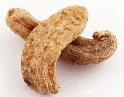 麗江天麻 雪山腳下的滋補(bǔ)瑰寶