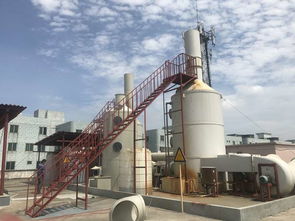 天麻 從傳統(tǒng)藥用到現(xiàn)代環(huán)保產(chǎn)品的跨界新生