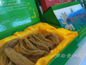 雷公山味道 天麻香飄杭州，綠色農(nóng)產(chǎn)品引商機(jī)